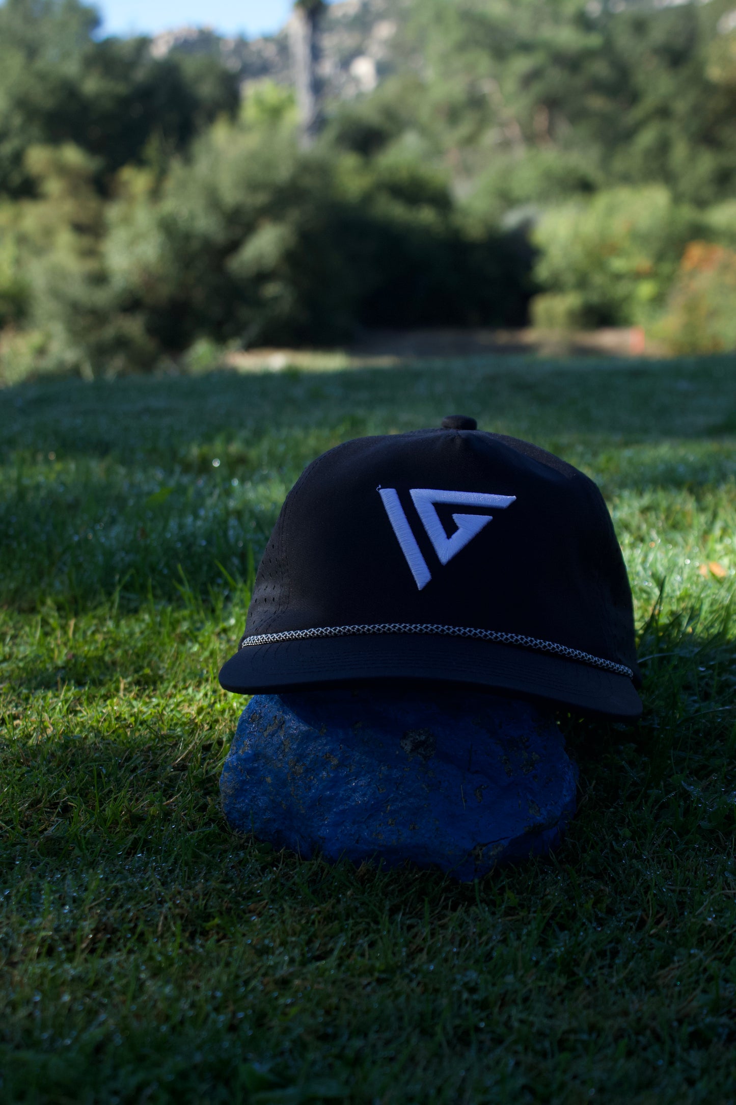 Logo Hat